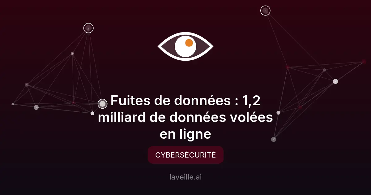 Fuites de données : 1,2 milliard de données volées en ligne